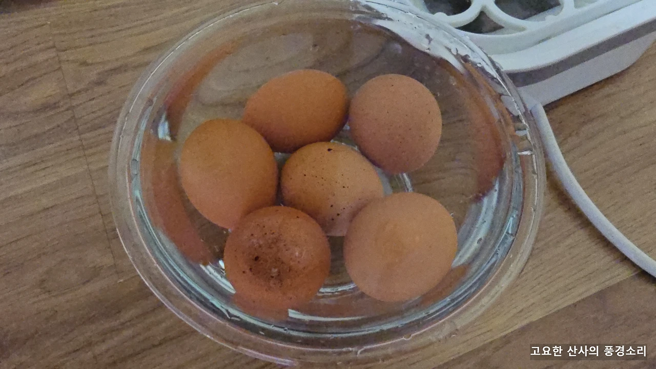 img.png?credential=yqXZFxpELC7KVnFOS48ylbz2pIh7yKj8&expires=1756652399&allow_ip=&allow_referer=&signature=nToYU1Pd3WU2w4OJq2zgMIRhTF4%3D