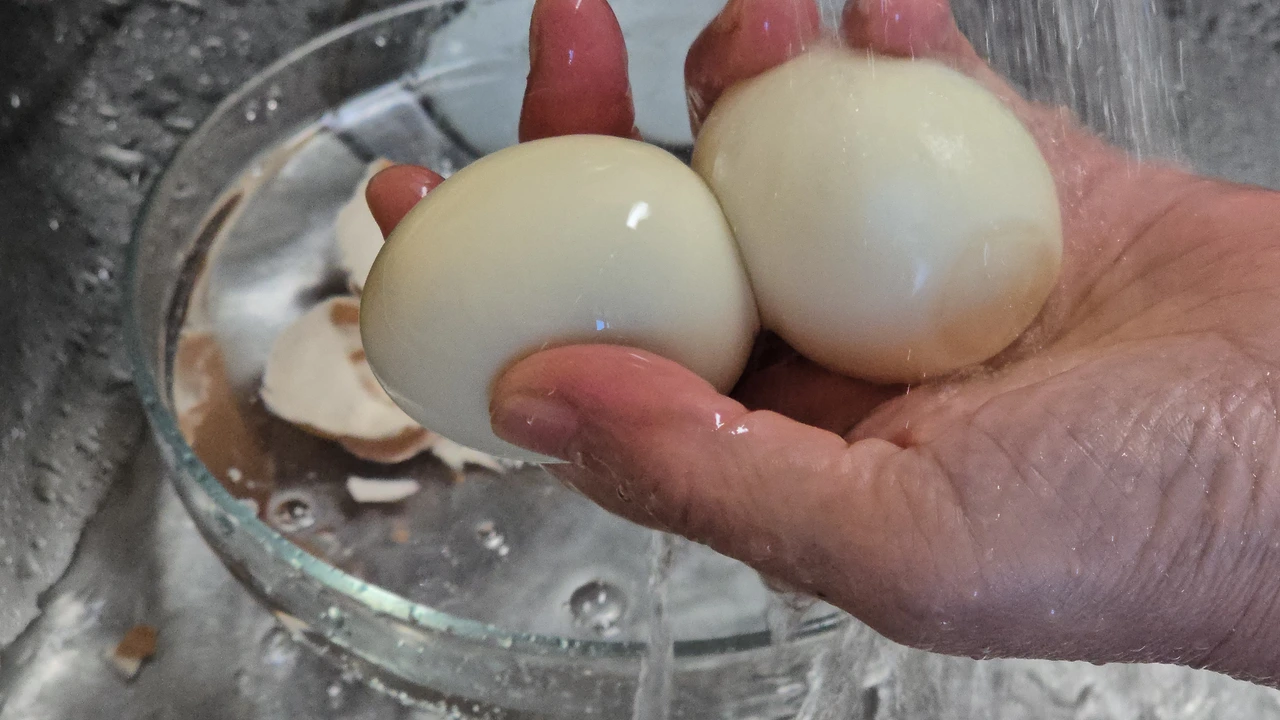 img.jpg?credential=yqXZFxpELC7KVnFOS48ylbz2pIh7yKj8&expires=1769871599&allow_ip=&allow_referer=&signature=jQ0MGBfVdi5L0Pn5SPy3hiXmCyY%3D