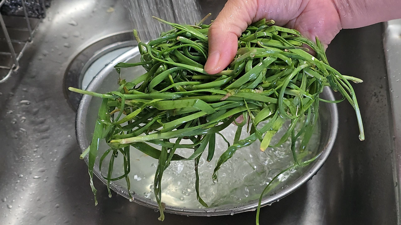 img.jpg?credential=yqXZFxpELC7KVnFOS48ylbz2pIh7yKj8&expires=1764514799&allow_ip=&allow_referer=&signature=S971fnWUB9KPsZz0LRXi0TH0D%2F0%3D