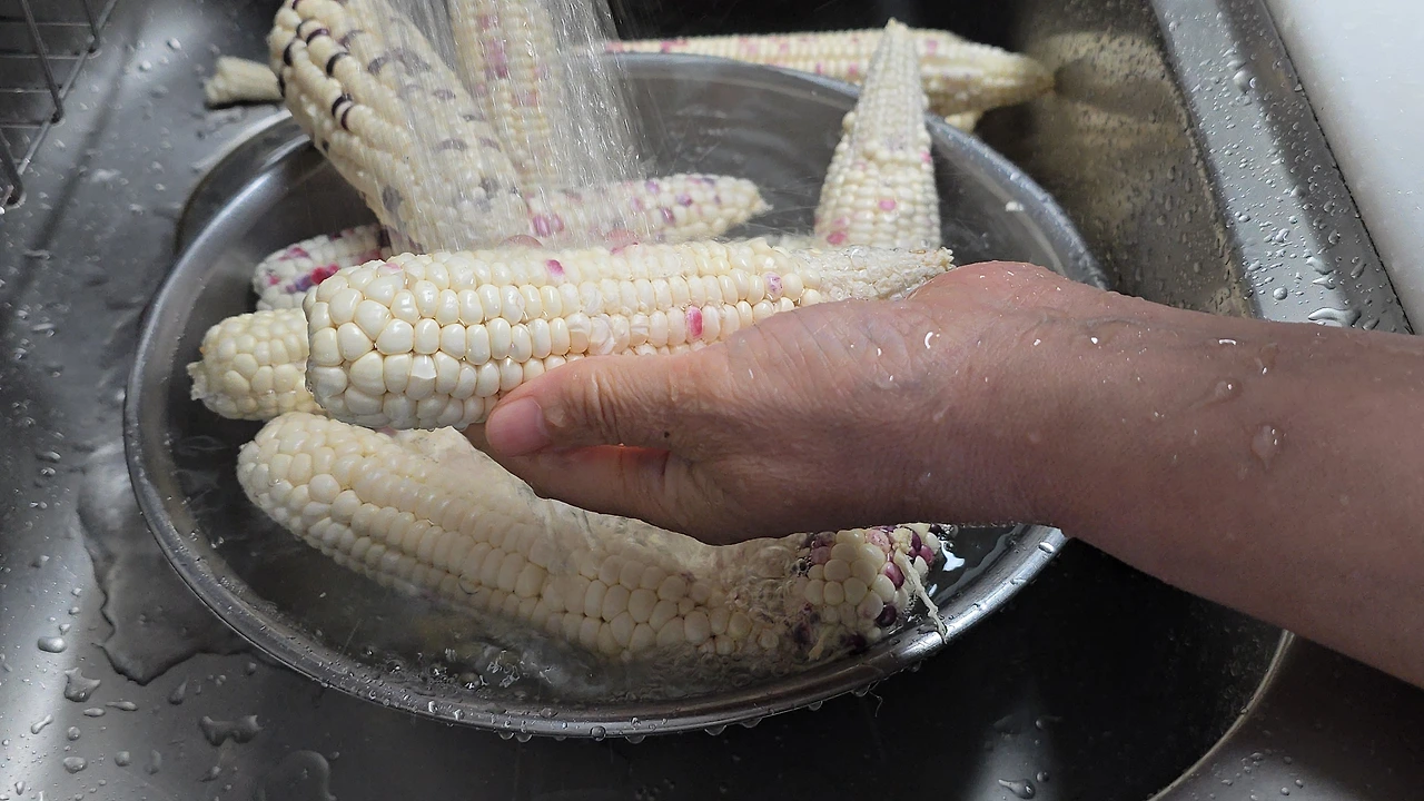 img.jpg?credential=yqXZFxpELC7KVnFOS48ylbz2pIh7yKj8&expires=1753973999&allow_ip=&allow_referer=&signature=%2F3Y87Y4yb3R5vzhmCW13D3Rh70s%3D