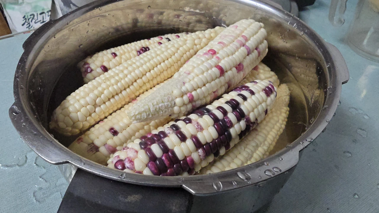 img.jpg?credential=yqXZFxpELC7KVnFOS48ylbz2pIh7yKj8&expires=1753973999&allow_ip=&allow_referer=&signature=f62CYcg61rxPL3aU%2F36GjOH7sbc%3D