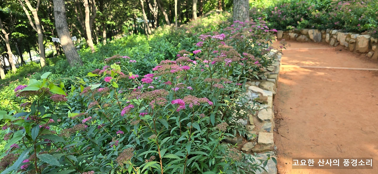 img.png?credential=yqXZFxpELC7KVnFOS48ylbz2pIh7yKj8&expires=1751295599&allow_ip=&allow_referer=&signature=ovI7KSgu1JvtsR4kJcLFYOHK6%2Fo%3D