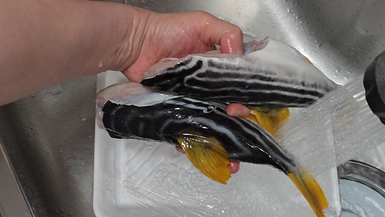 img.jpg?credential=yqXZFxpELC7KVnFOS48ylbz2pIh7yKj8&expires=1759244399&allow_ip=&allow_referer=&signature=%2BhBNta1TVhwKGb5kEiR7NC2QC3I%3D