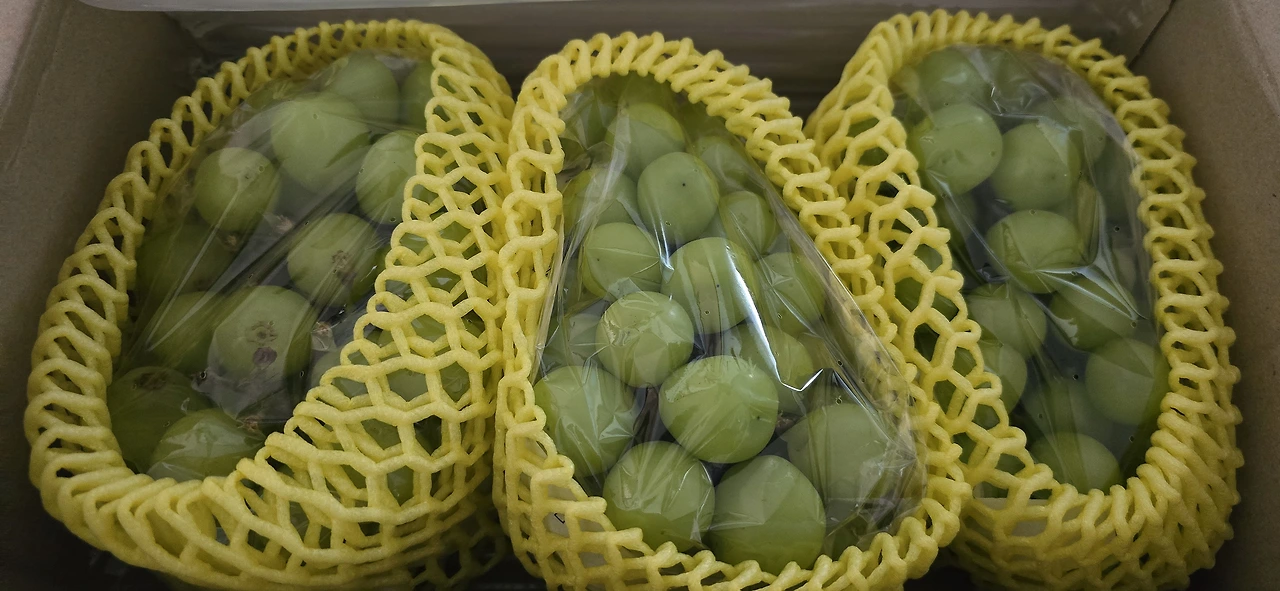 img.jpg?credential=yqXZFxpELC7KVnFOS48ylbz2pIh7yKj8&expires=1761922799&allow_ip=&allow_referer=&signature=w712p1%2BW24TfYrnmHA7TPbt5CFc%3D