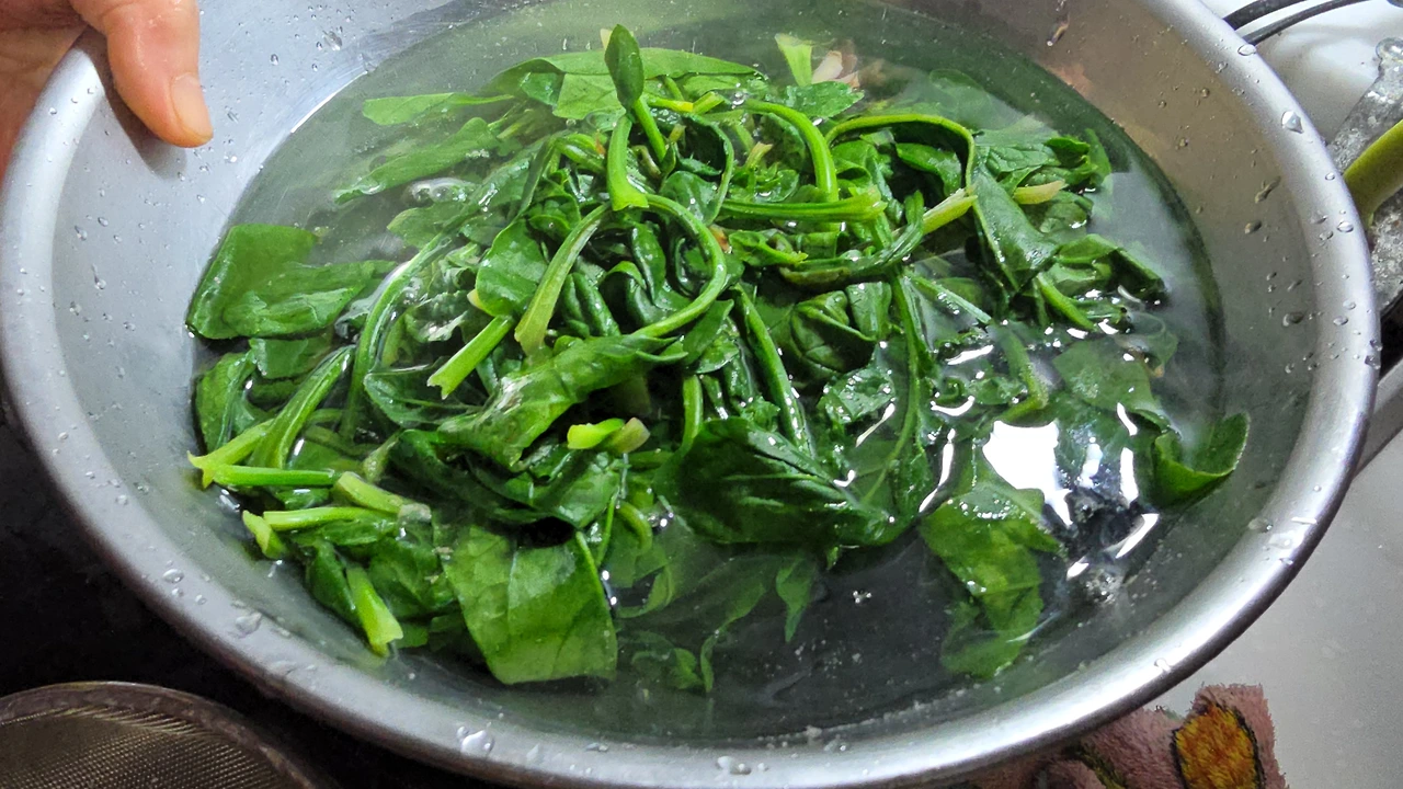 img.jpg?credential=yqXZFxpELC7KVnFOS48ylbz2pIh7yKj8&expires=1764514799&allow_ip=&allow_referer=&signature=th6B6wAKCVWPBJp5cbrR%2F9HeXnA%3D