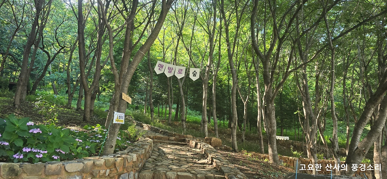 img.png?credential=yqXZFxpELC7KVnFOS48ylbz2pIh7yKj8&expires=1751295599&allow_ip=&allow_referer=&signature=AtbhzKbcIWR7sd%2BXxkYk0gYP1FI%3D