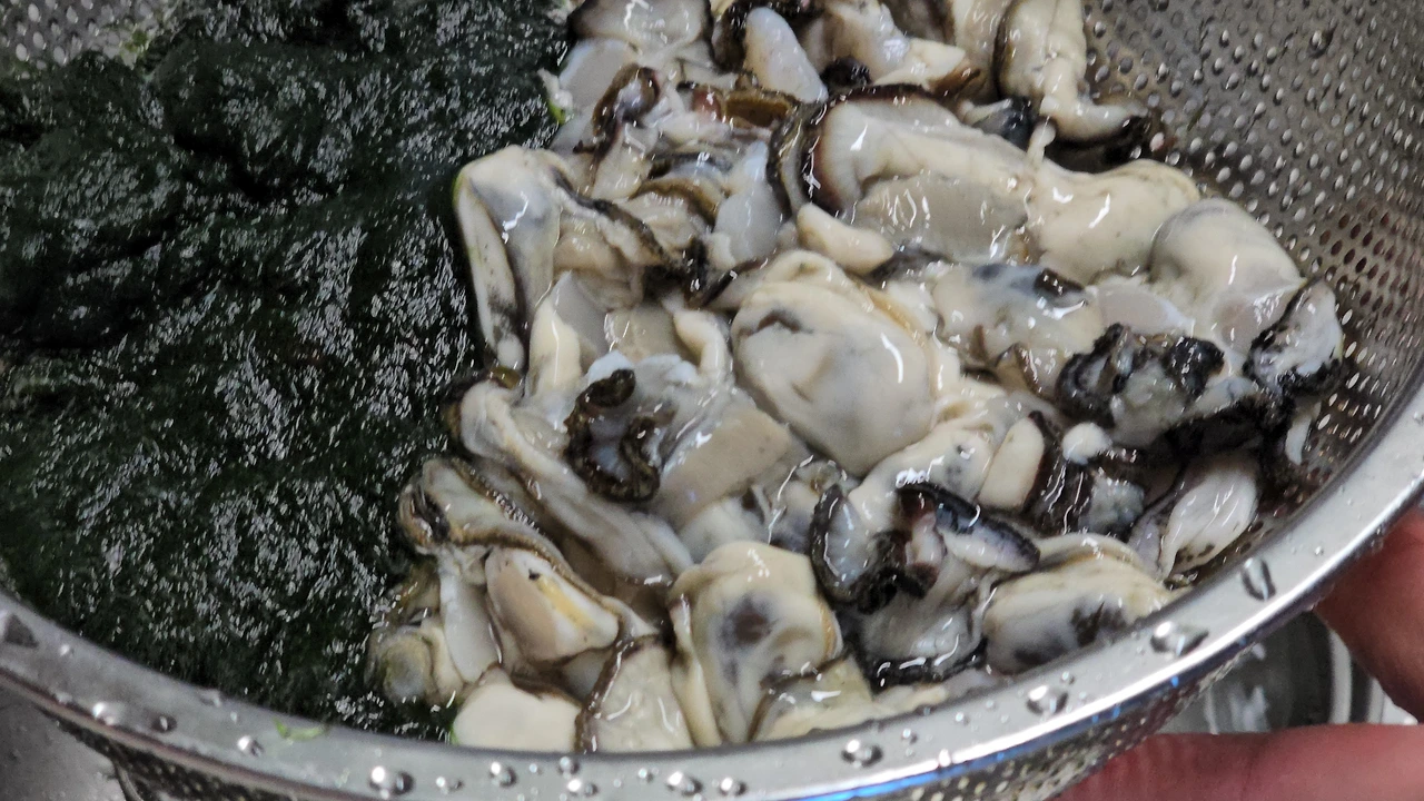 img.jpg?credential=yqXZFxpELC7KVnFOS48ylbz2pIh7yKj8&expires=1769871599&allow_ip=&allow_referer=&signature=D9W1lqI26226IkEY%2BHvrTn%2B7cwc%3D