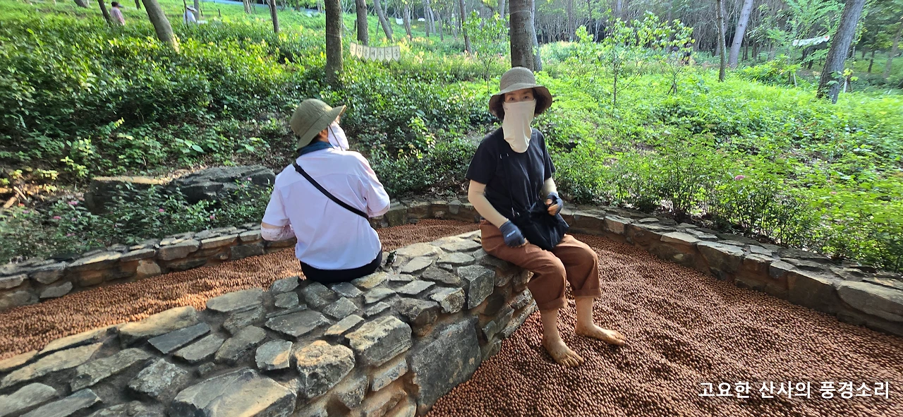 img.png?credential=yqXZFxpELC7KVnFOS48ylbz2pIh7yKj8&expires=1751295599&allow_ip=&allow_referer=&signature=CRGQzeNBQbXf2uNmcAv8rKBph58%3D