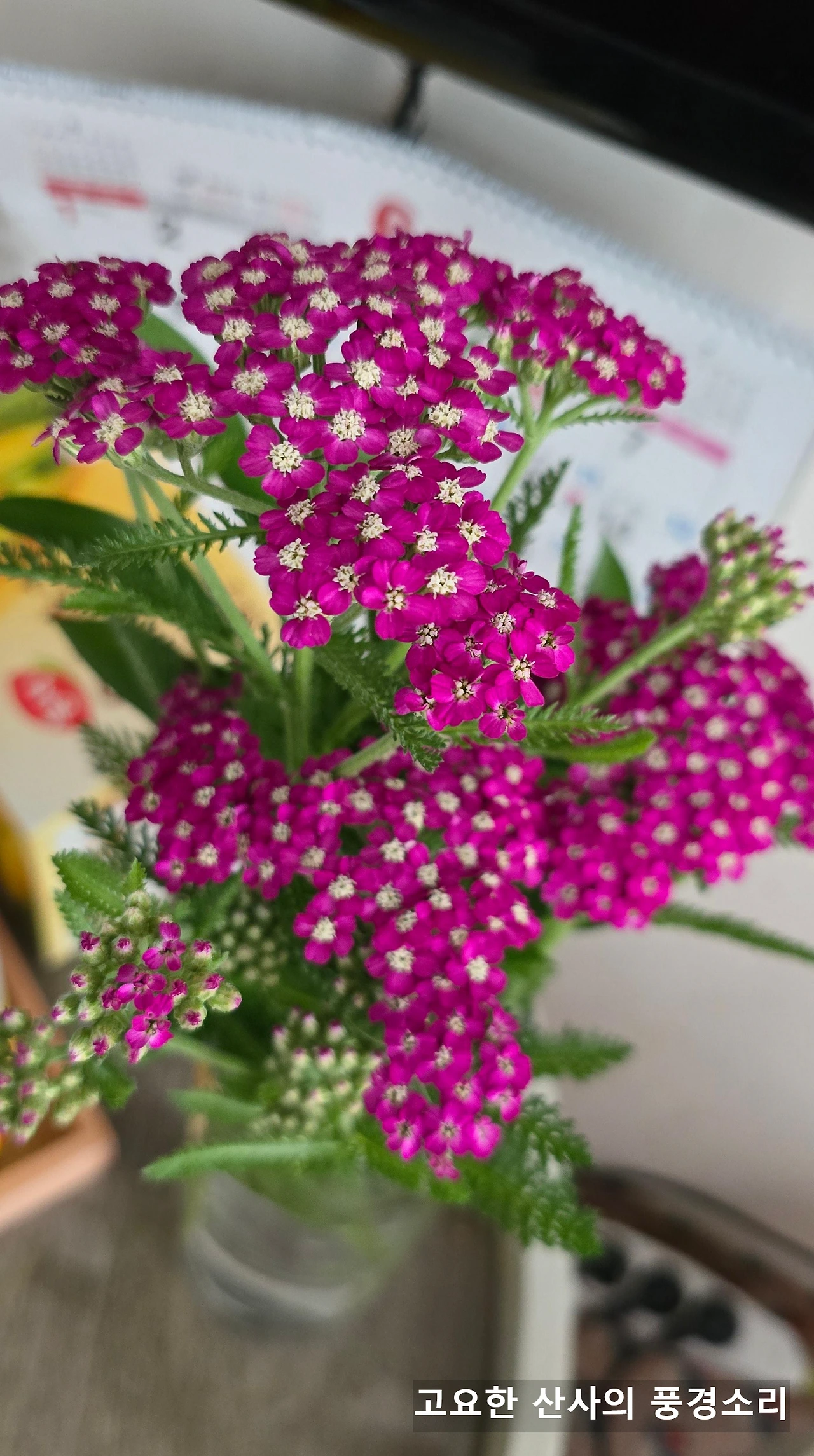 img.png?credential=yqXZFxpELC7KVnFOS48ylbz2pIh7yKj8&expires=1751295599&allow_ip=&allow_referer=&signature=Q9yu0ljVlOdxz5%2FezOyFULtc16U%3D