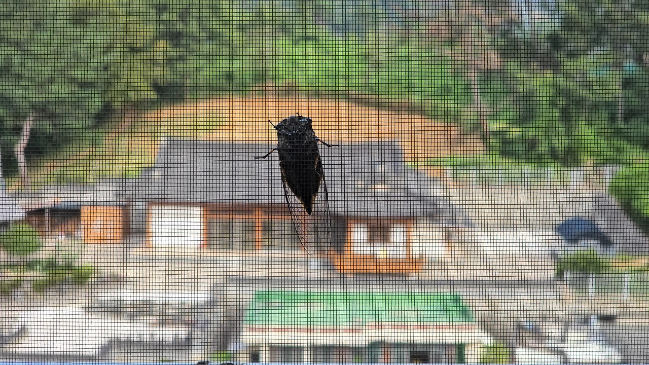 img.jpg?credential=yqXZFxpELC7KVnFOS48ylbz2pIh7yKj8&expires=1759244399&allow_ip=&allow_referer=&signature=T5cvfa2NaDwrFphAPh7Vaqgevi8%3D