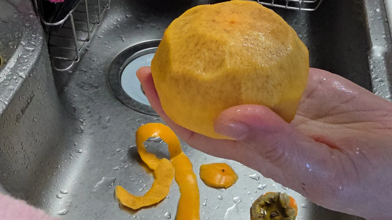 img.jpg?credential=yqXZFxpELC7KVnFOS48ylbz2pIh7yKj8&expires=1769871599&allow_ip=&allow_referer=&signature=%2F2xjbXxxBwHVRUP6fmCufvKBVL4%3D