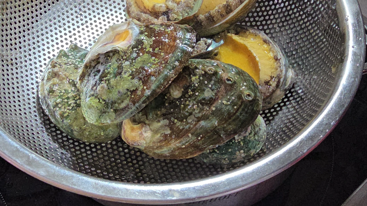 img.jpg?credential=yqXZFxpELC7KVnFOS48ylbz2pIh7yKj8&expires=1759244399&allow_ip=&allow_referer=&signature=6uvDeW%2BAODfJx1IY4M8vVKaNqF8%3D