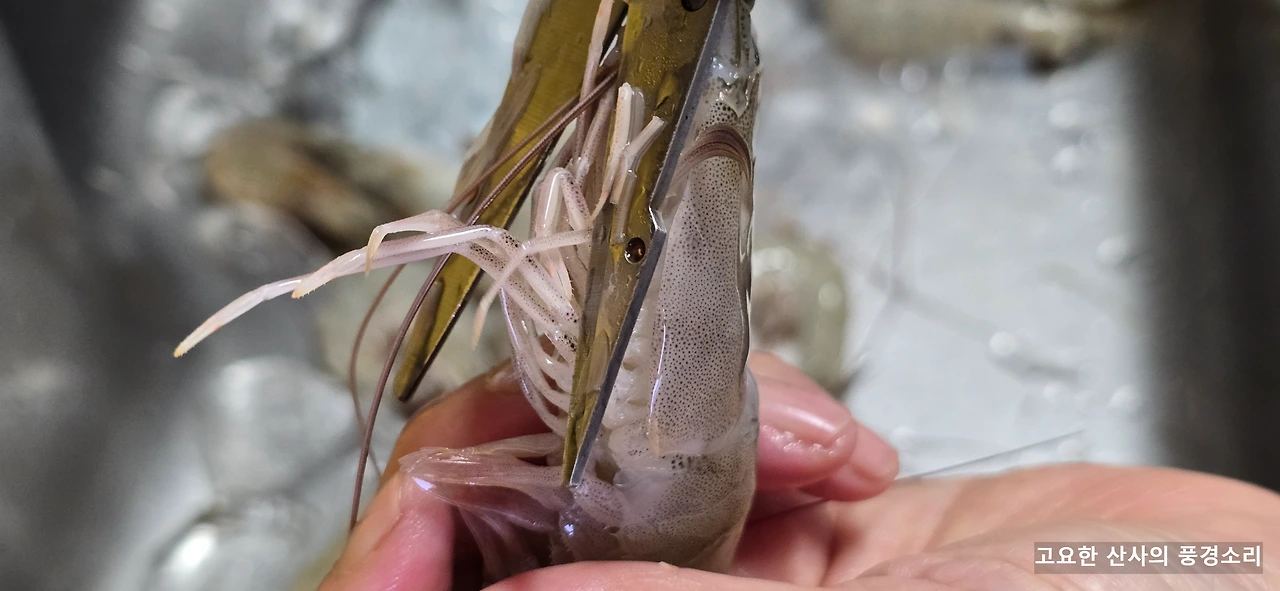 img.png?credential=yqXZFxpELC7KVnFOS48ylbz2pIh7yKj8&expires=1759244399&allow_ip=&allow_referer=&signature=puiWPXZc6yYRjYGeeJ%2FllyrU1%2B0%3D