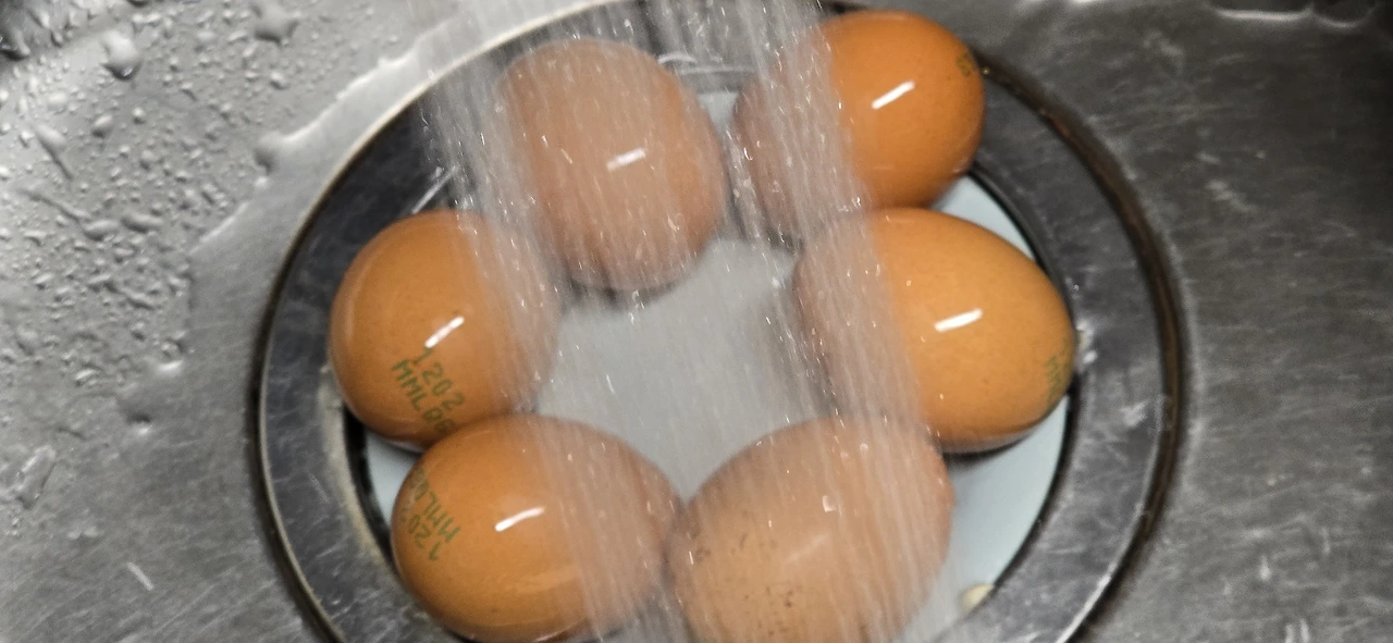 img.jpg?credential=yqXZFxpELC7KVnFOS48ylbz2pIh7yKj8&expires=1769871599&allow_ip=&allow_referer=&signature=H4uecChkYalnSbOdF%2FyQ2pvh7xM%3D