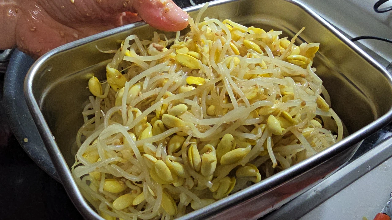 img.jpg?credential=yqXZFxpELC7KVnFOS48ylbz2pIh7yKj8&expires=1764514799&allow_ip=&allow_referer=&signature=Pwz6D23ZCLMp6%2BWpNqLRSxC1nv4%3D