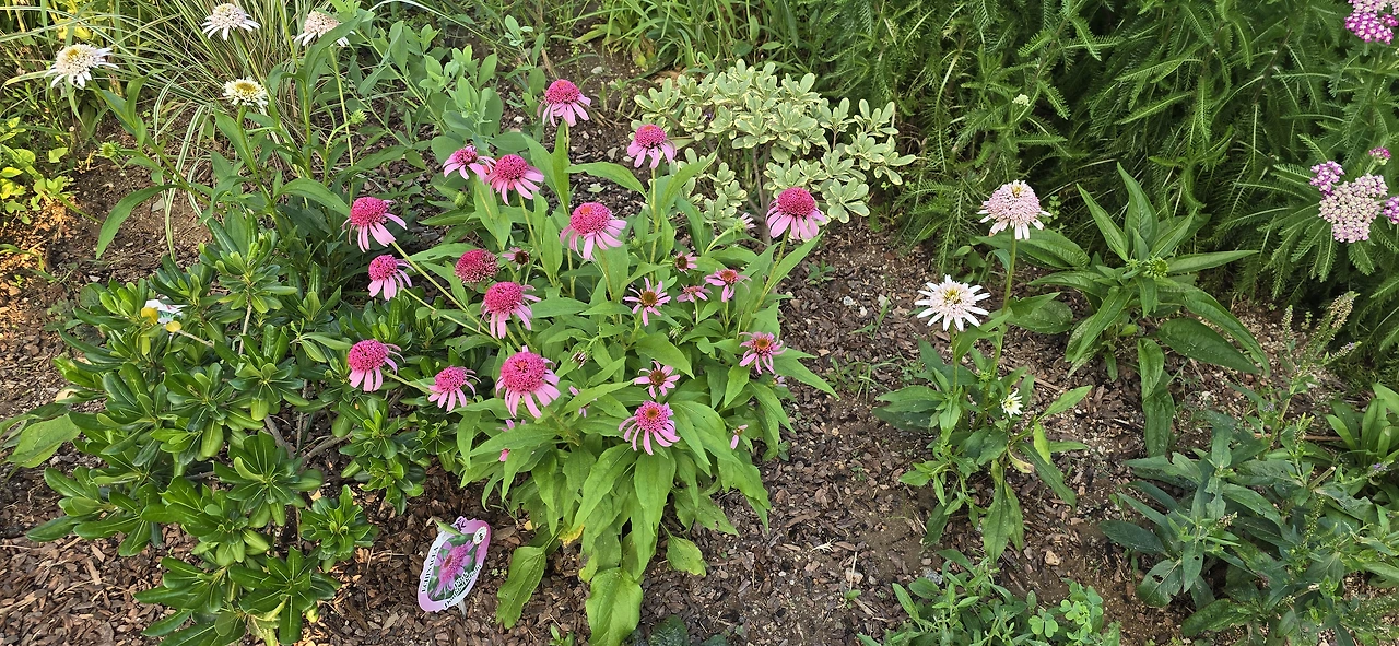 img.jpg?credential=yqXZFxpELC7KVnFOS48ylbz2pIh7yKj8&expires=1753973999&allow_ip=&allow_referer=&signature=RSc7siky43rhd%2BrPnLpE%2BdlsDAU%3D