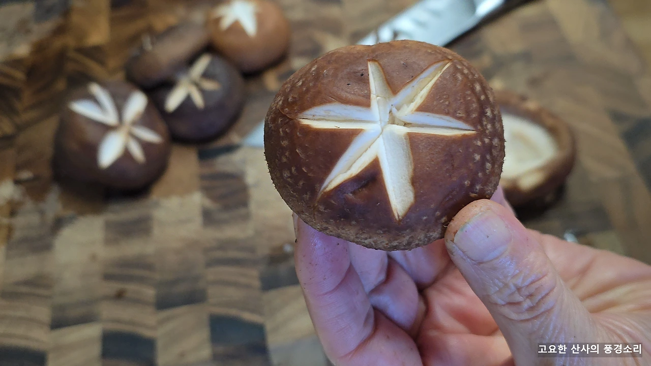 img.png?credential=yqXZFxpELC7KVnFOS48ylbz2pIh7yKj8&expires=1769871599&allow_ip=&allow_referer=&signature=QJJSJvZnyDnVUHrsMyKoUZfcd3A%3D