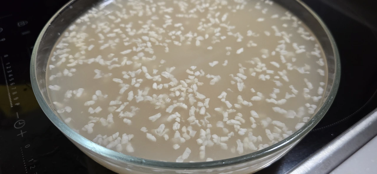 img.jpg?credential=yqXZFxpELC7KVnFOS48ylbz2pIh7yKj8&expires=1756652399&allow_ip=&allow_referer=&signature=pDGlbLqqK%2BpPomZusXSZN9ymg14%3D