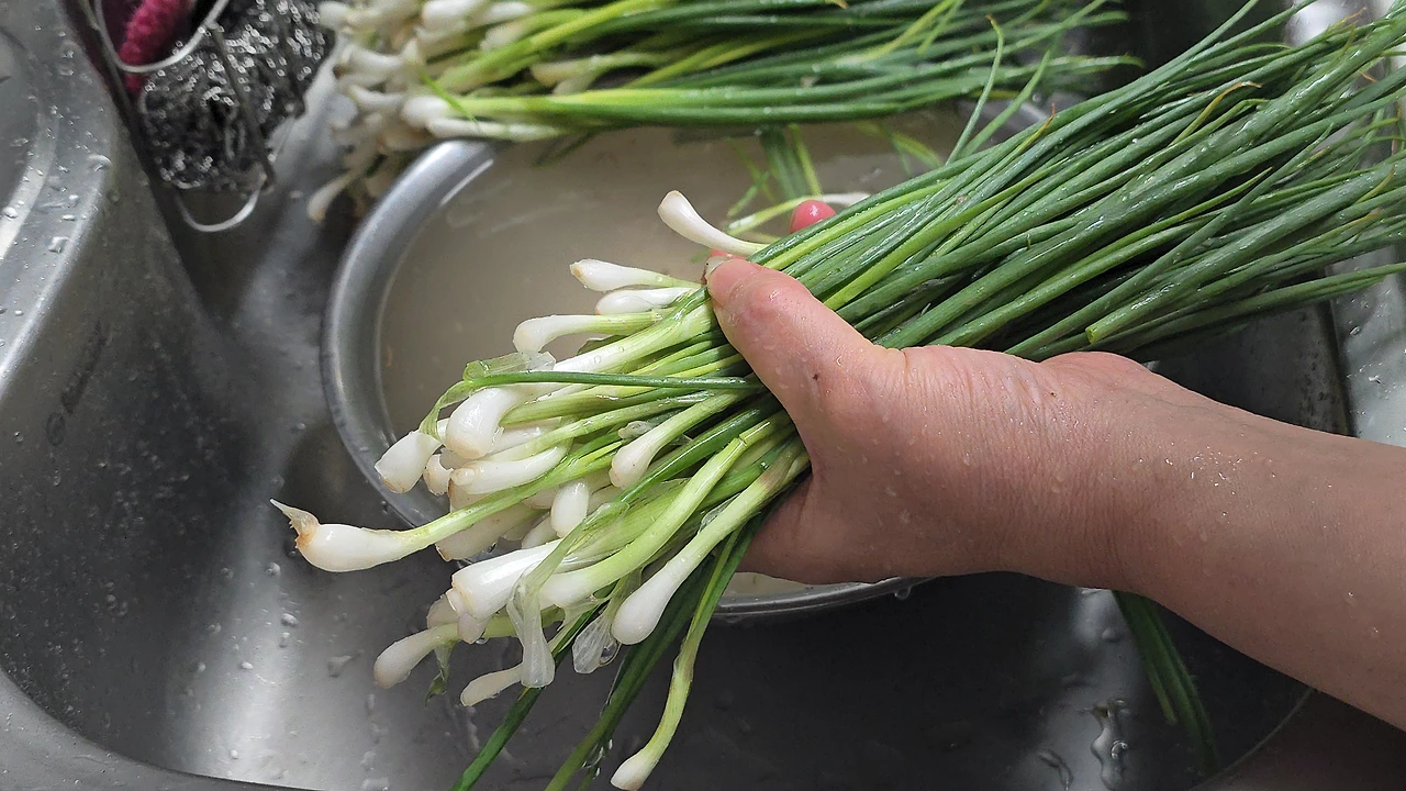 img.jpg?credential=yqXZFxpELC7KVnFOS48ylbz2pIh7yKj8&expires=1759244399&allow_ip=&allow_referer=&signature=rs6up0GPp29R5gEbv51Em2uz7cM%3D