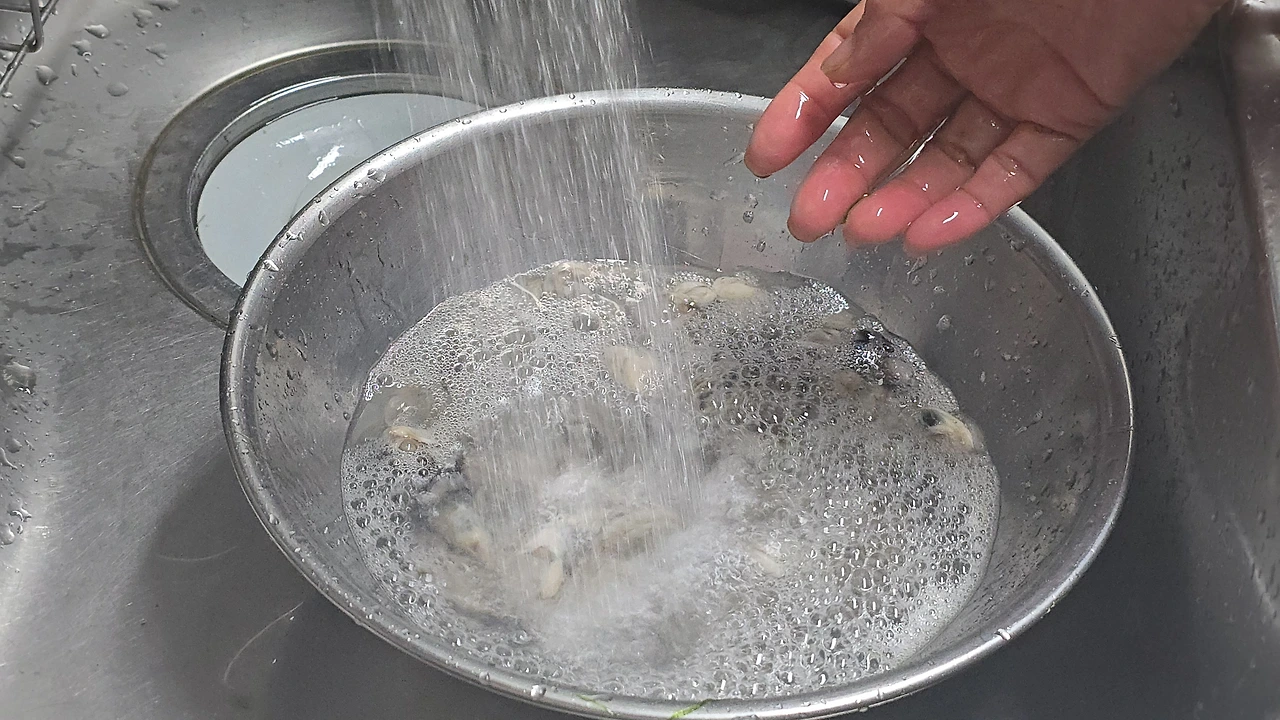 img.jpg?credential=yqXZFxpELC7KVnFOS48ylbz2pIh7yKj8&expires=1767193199&allow_ip=&allow_referer=&signature=ExP%2FlKx6cdnjgAFZgvkvGo%2B2cHU%3D