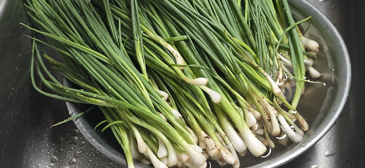 img.jpg?credential=yqXZFxpELC7KVnFOS48ylbz2pIh7yKj8&expires=1759244399&allow_ip=&allow_referer=&signature=Uh57RamSMS2mEzoMunlUFFhOBuA%3D