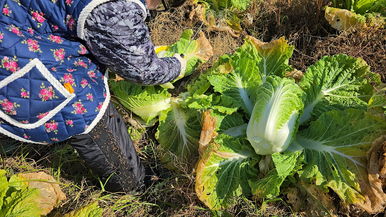 img.jpg?credential=yqXZFxpELC7KVnFOS48ylbz2pIh7yKj8&expires=1767193199&allow_ip=&allow_referer=&signature=UJxQR8JL56LxXV2yGNgGMex1Zow%3D