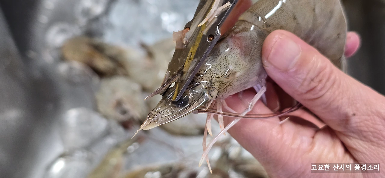 img.png?credential=yqXZFxpELC7KVnFOS48ylbz2pIh7yKj8&expires=1759244399&allow_ip=&allow_referer=&signature=BRoOjtFITEuET3mG09Ri8S5VE1Q%3D