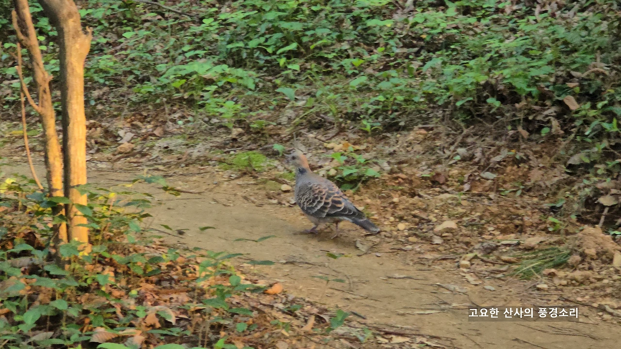 img.png?credential=yqXZFxpELC7KVnFOS48ylbz2pIh7yKj8&expires=1753973999&allow_ip=&allow_referer=&signature=5pB43R5Rmu%2Bc5%2F%2FRy3Y%2FpLIYBw8%3D