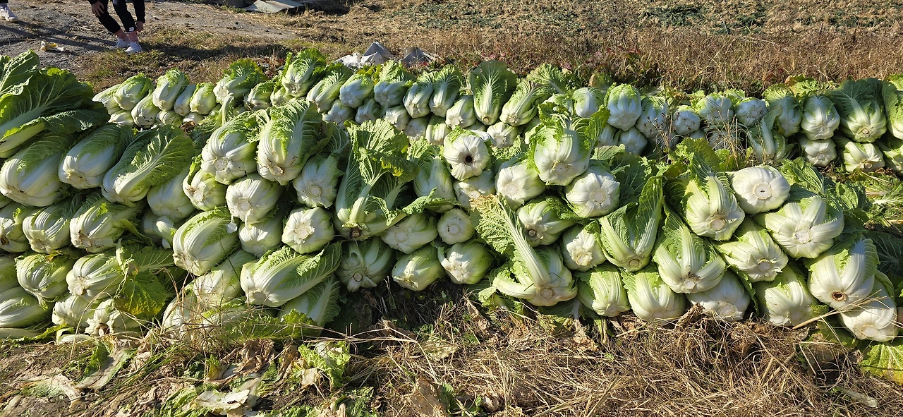 img.jpg?credential=yqXZFxpELC7KVnFOS48ylbz2pIh7yKj8&expires=1767193199&allow_ip=&allow_referer=&signature=o2ISGpy%2FdTE%2Fgw3o1rIQJyY9cGE%3D