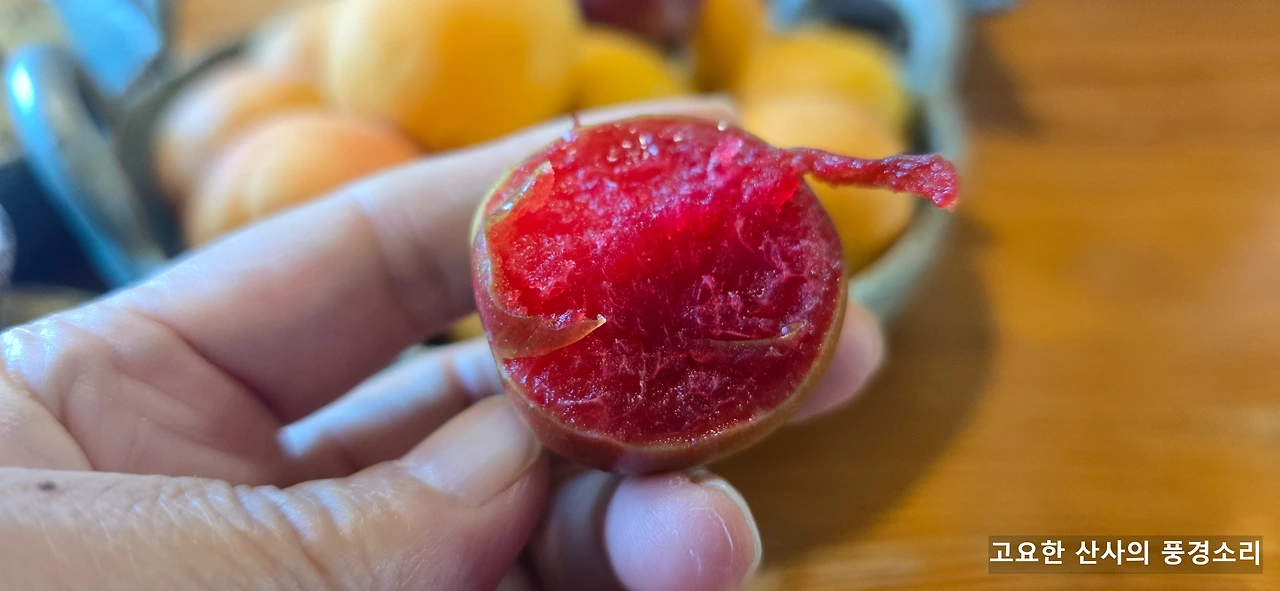 img.png?credential=yqXZFxpELC7KVnFOS48ylbz2pIh7yKj8&expires=1751295599&allow_ip=&allow_referer=&signature=qFV%2BCX%2B704Uhy3esbd8mAceDeRg%3D