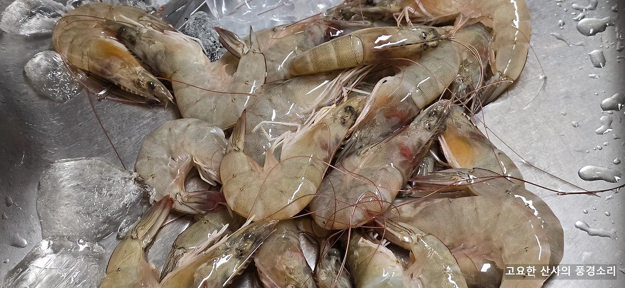 img.png?credential=yqXZFxpELC7KVnFOS48ylbz2pIh7yKj8&expires=1759244399&allow_ip=&allow_referer=&signature=w79y2Cpg9tHyhP0Va%2Fsi5ZFXrNs%3D