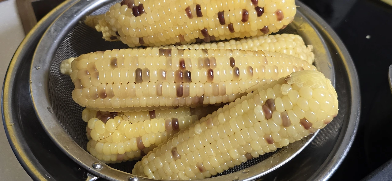 img.jpg?credential=yqXZFxpELC7KVnFOS48ylbz2pIh7yKj8&expires=1753973999&allow_ip=&allow_referer=&signature=05mnEQcPWWO54Vlgbx6xZ%2FLWnmg%3D