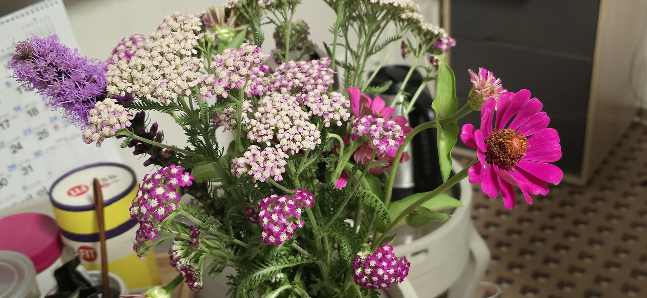 img.jpg?credential=yqXZFxpELC7KVnFOS48ylbz2pIh7yKj8&expires=1753973999&allow_ip=&allow_referer=&signature=1K3iyEDwQP8Vb4xcWZxnrM2Ryas%3D