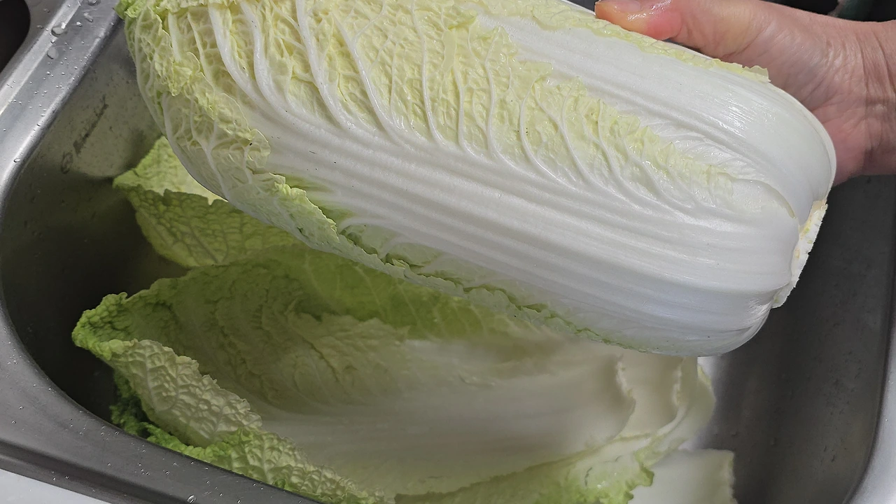 img.jpg?credential=yqXZFxpELC7KVnFOS48ylbz2pIh7yKj8&expires=1767193199&allow_ip=&allow_referer=&signature=F1WdbsO0eLL0PXra7wemSvUXoeE%3D