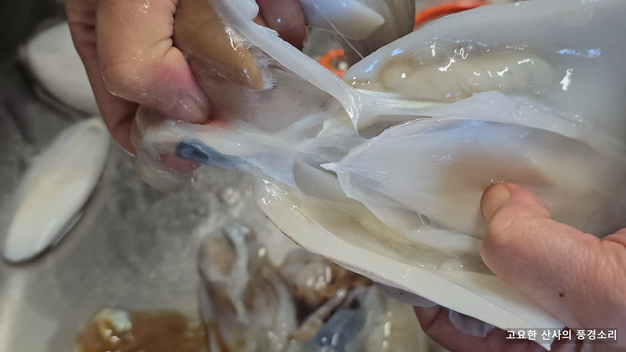 img.png?credential=yqXZFxpELC7KVnFOS48ylbz2pIh7yKj8&expires=1764514799&allow_ip=&allow_referer=&signature=%2Blowj%2BaLNizDjDSGo%2B0GqAF4LIs%3D