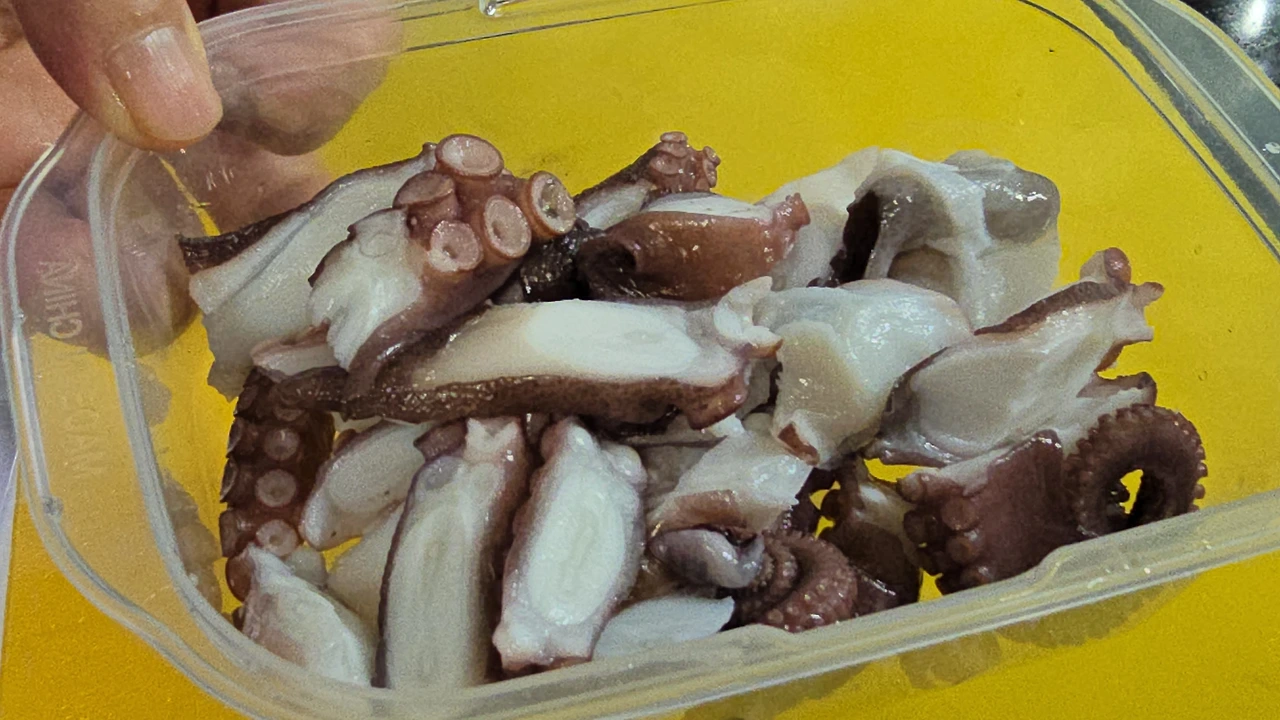 img.jpg?credential=yqXZFxpELC7KVnFOS48ylbz2pIh7yKj8&expires=1761922799&allow_ip=&allow_referer=&signature=UXu5s8%2BisFV%2B%2BwPAax%2B0%2BsEYI%2BE%3D