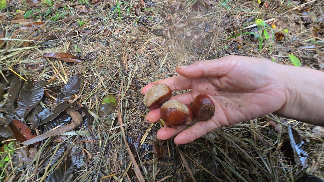 img.jpg?credential=yqXZFxpELC7KVnFOS48ylbz2pIh7yKj8&expires=1761922799&allow_ip=&allow_referer=&signature=x5u2j3CkrQ1qnLxb7FUx%2FeRU4ds%3D