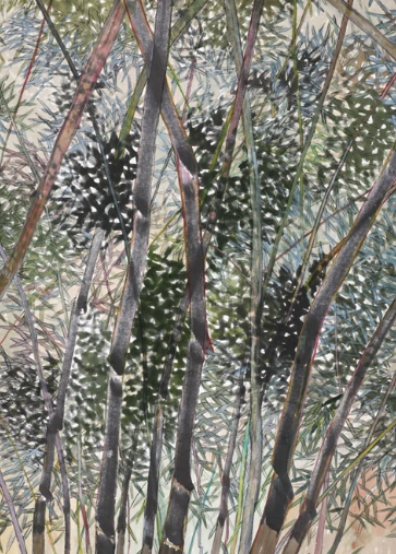 image.png?type=w1200