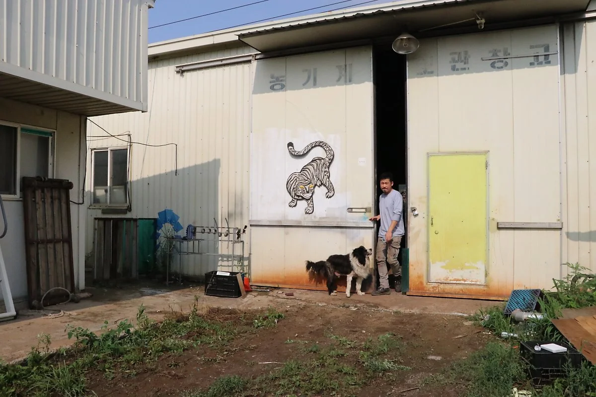 IMG_1246.JPG?type=w1200