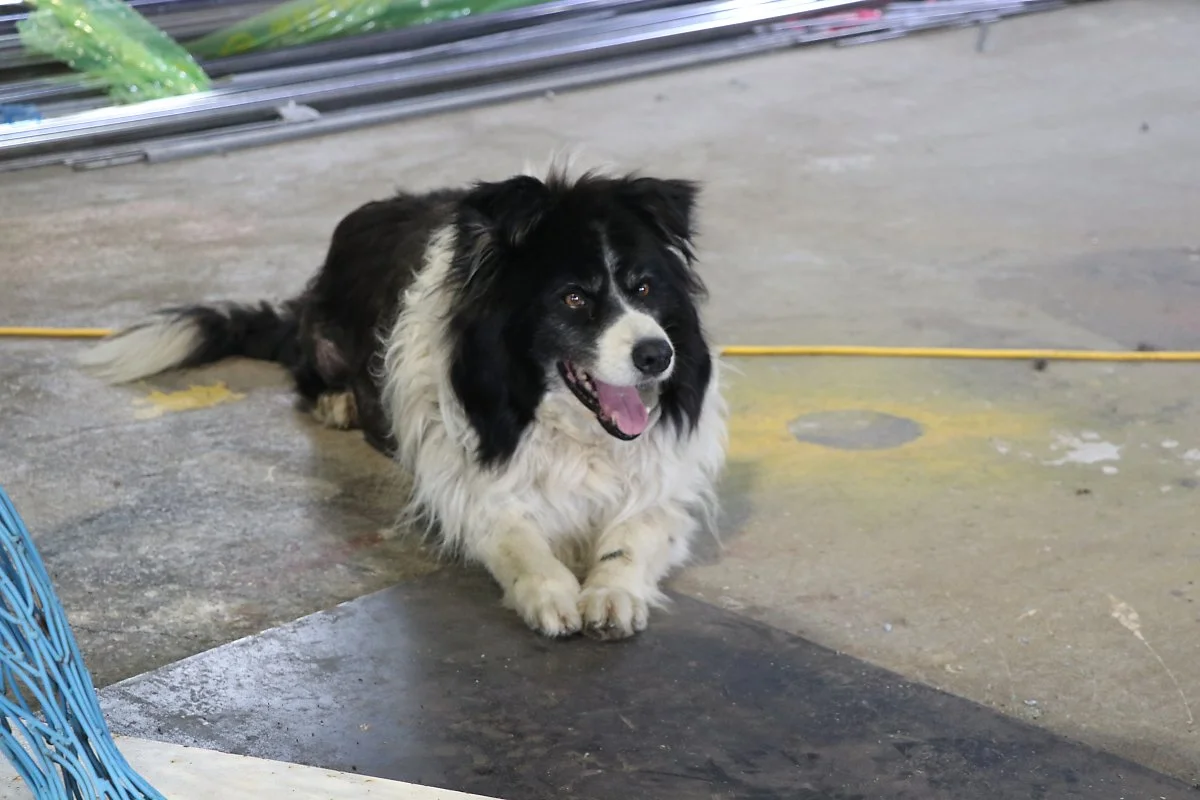 IMG_1166.JPG?type=w1200