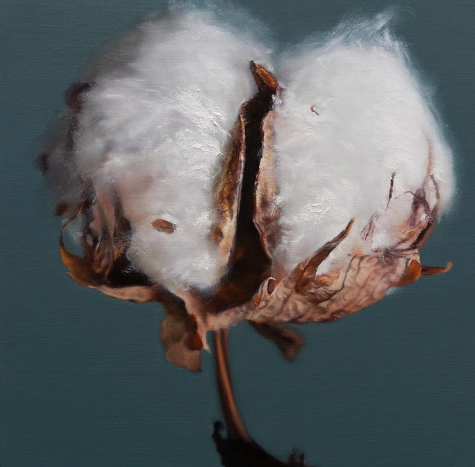 image.png?type=w1200