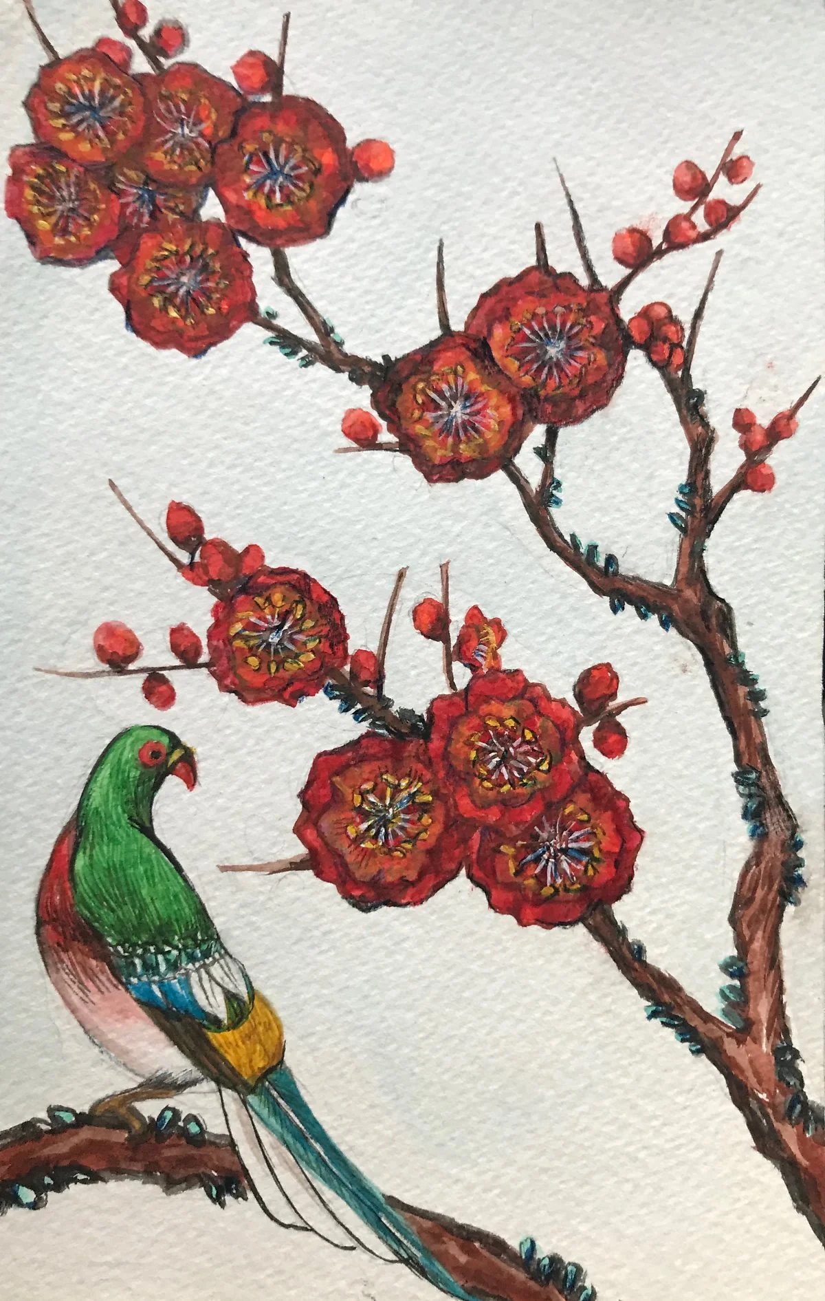 C38F1CDA-B481-4EF4-B455-7139E6A088A0.jpeg?type=w1200