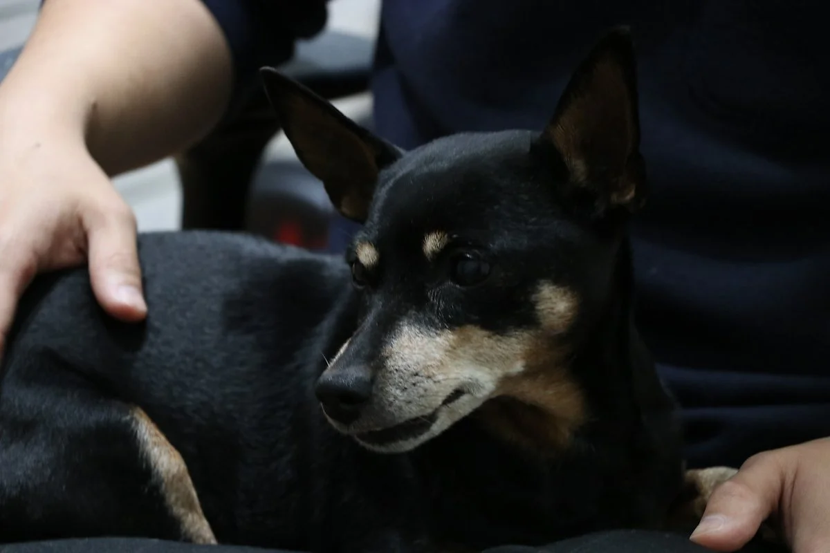 IMG_0893.JPG?type=w1200