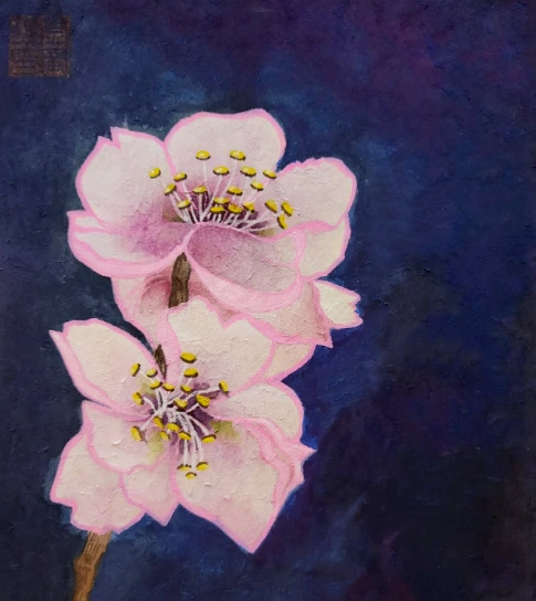 image.png?type=w1200