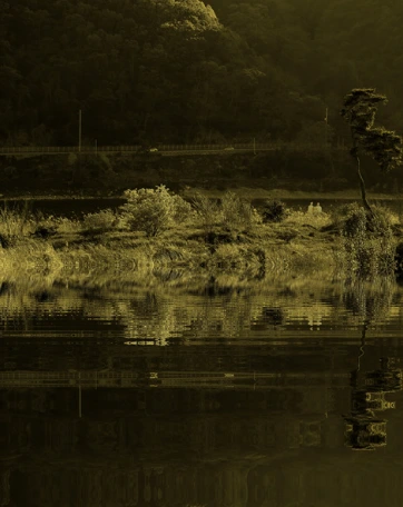 image.png?type=w1200