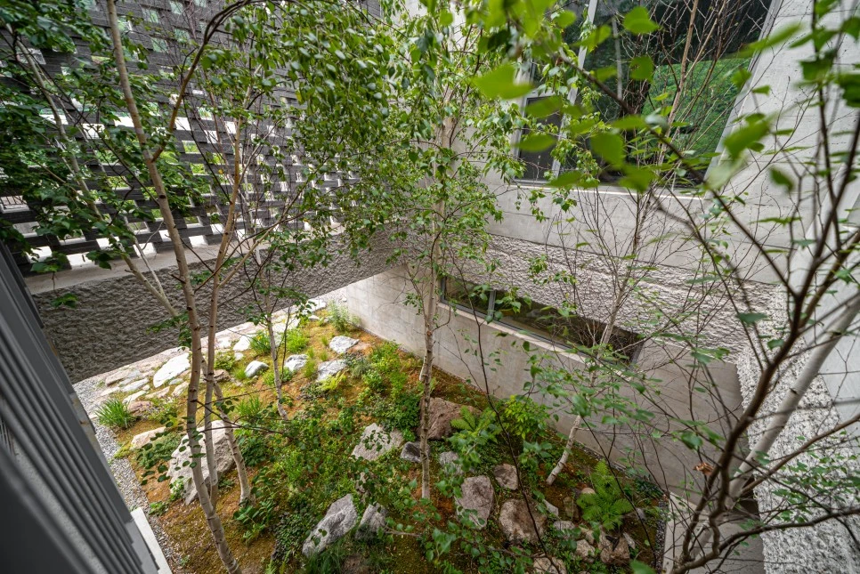 DSC_4536.jpg?type=w966