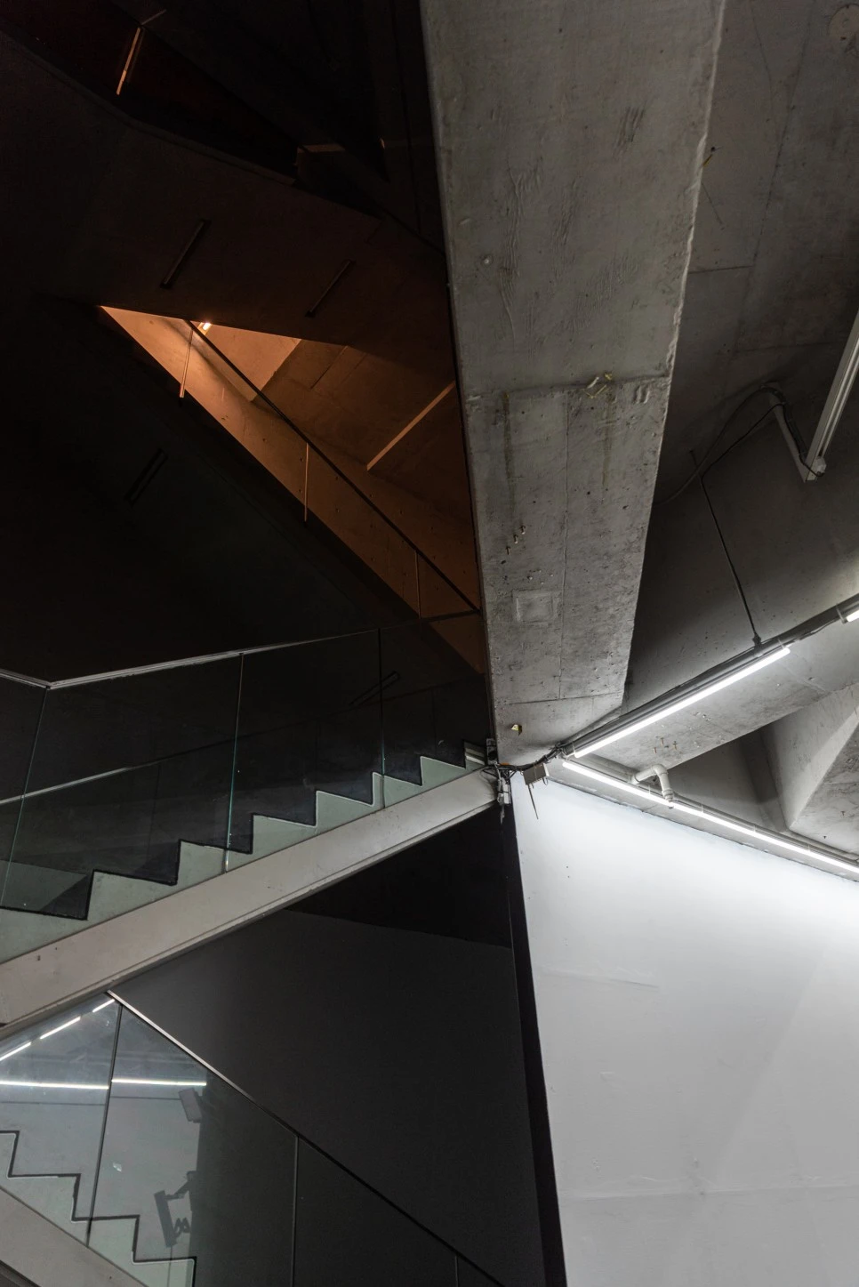 DSC_4145.jpg?type=w966