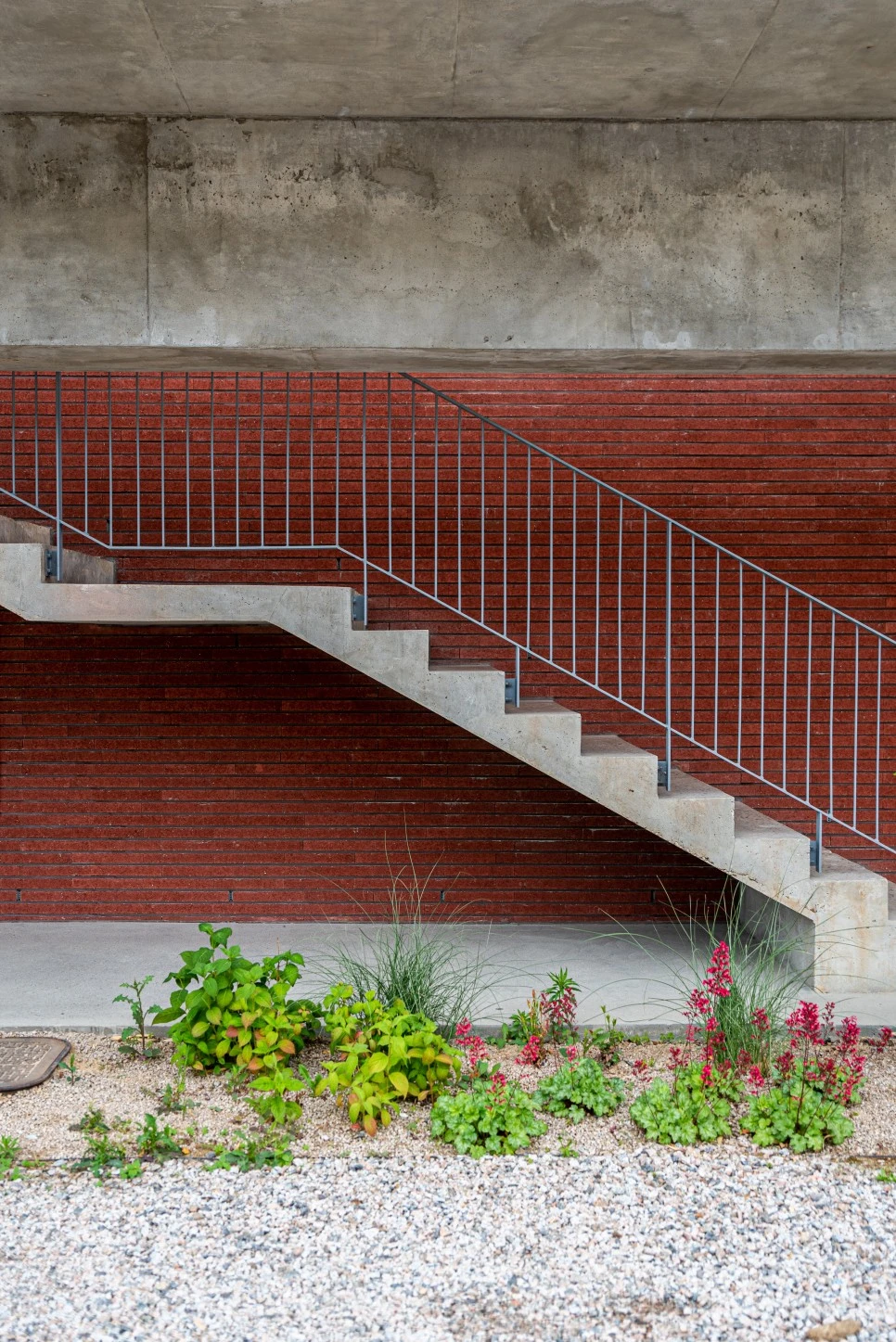 DSC_4592.jpg?type=w966