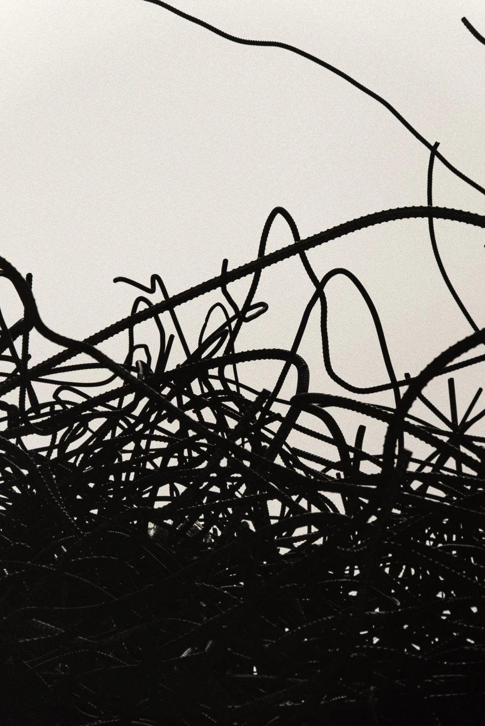 %EF%BB%BF%EC%84%9C%EC%9A%B8_%EC%82%AC%EC%A7%84%EC%A0%84_%ED%95%99%EA%B3%A0%EC%9E%AC_%EA%B0%A4%EB%9F%AC%EB%A6%AC_%EB%85%B8%EC%88%9C%ED%83%9D_%EA%B2%80%EC%9D%80_%EA%B9%83%ED%84%B8-21.jpg?type=w966