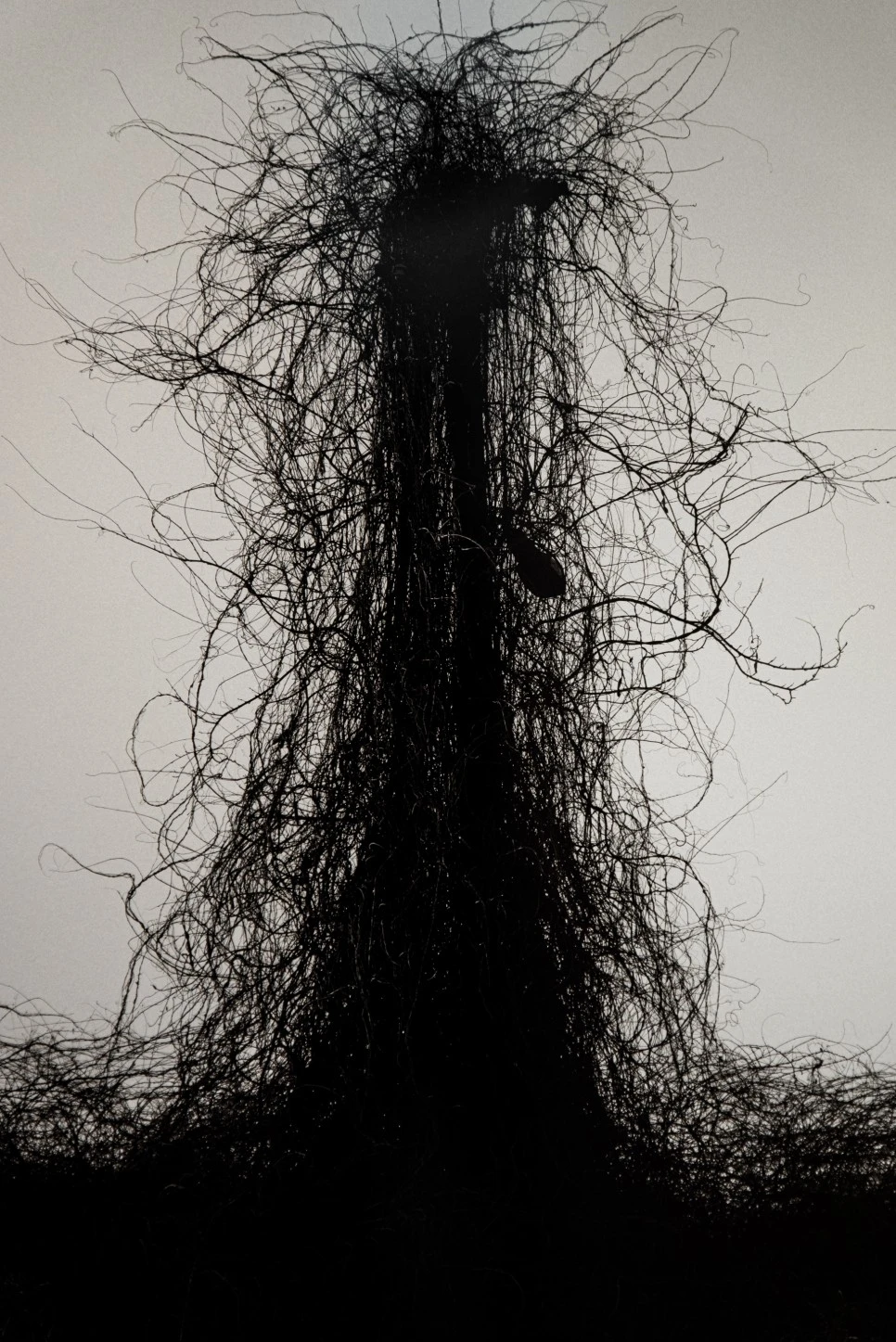 DSC_7006-Edit.jpg?type=w966